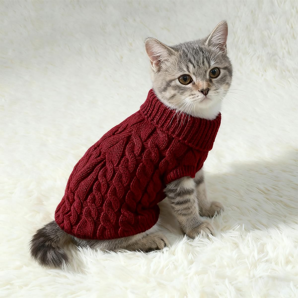 Persoshow dog knit sweater folded display shows easy-to-store pet clothing option