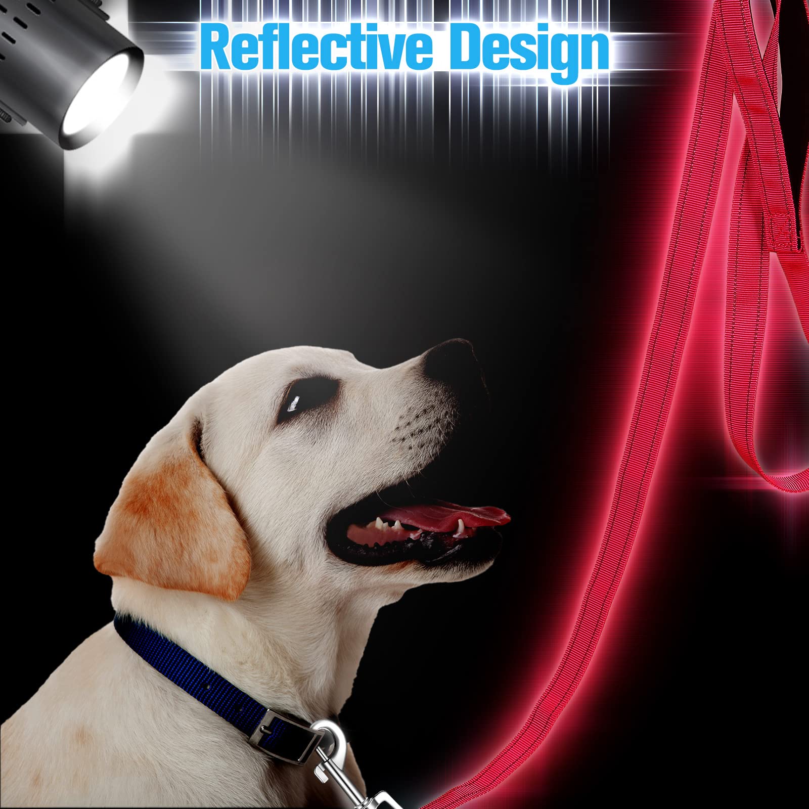 Perthlin six-color-pack leash set offers quick swaps for multiple dogs or moods