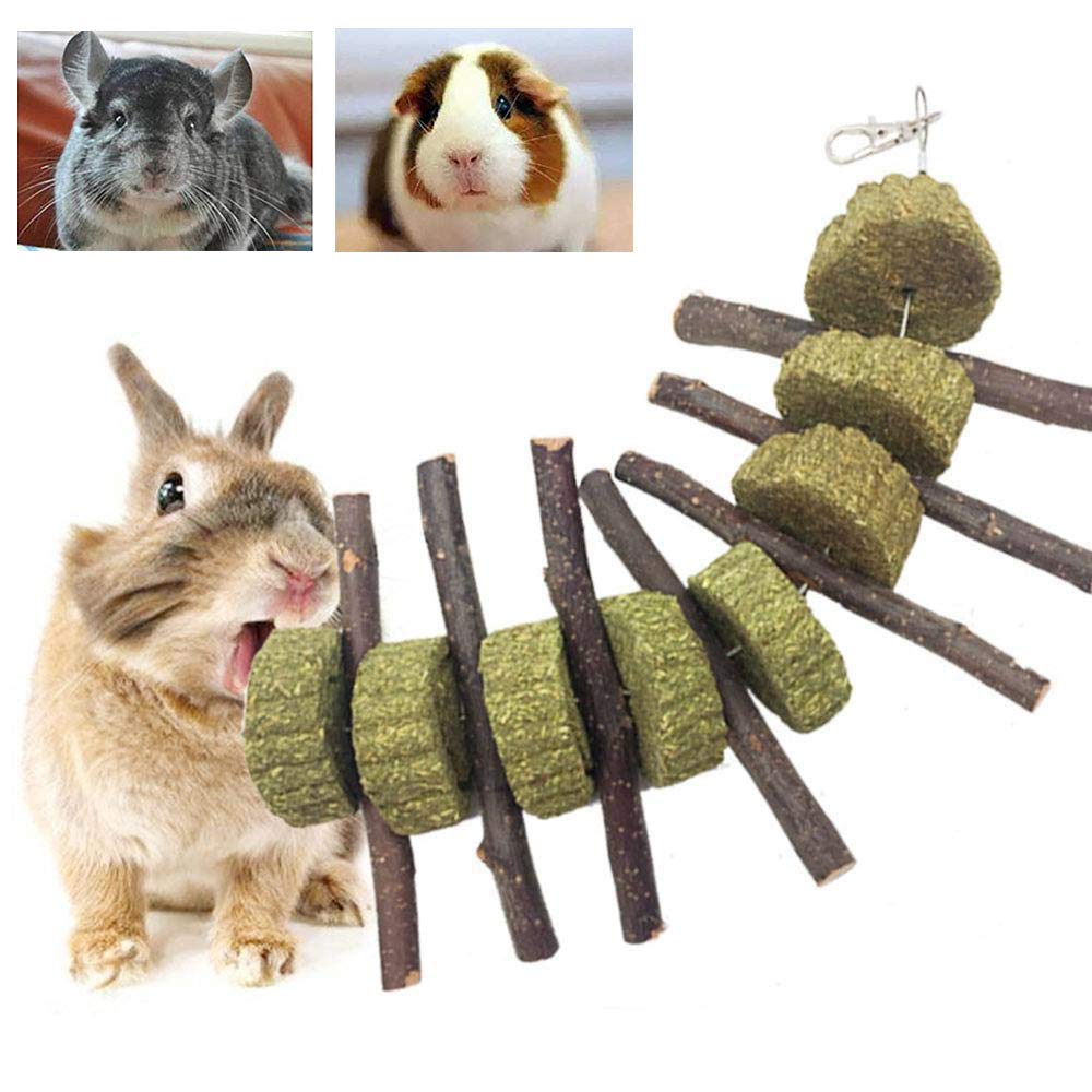 PeSandy bunny chew toys apple wood molar sticks promote natural dental wear during nibbling