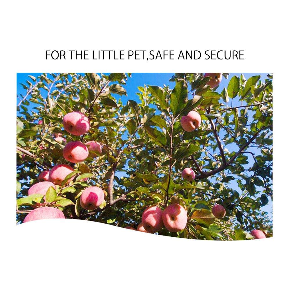 PeSandy bunny chew toys eight hay circles encourage ongoing nibbling