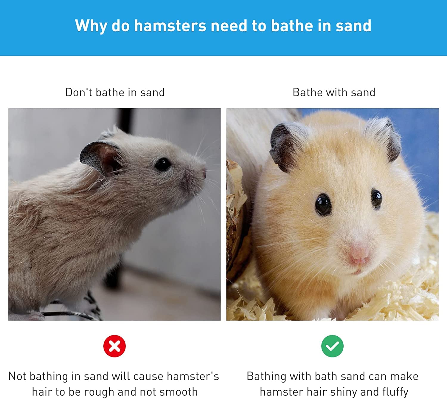 PESNLO bath size 14.5x10x10 cm fits compact setups for small pets