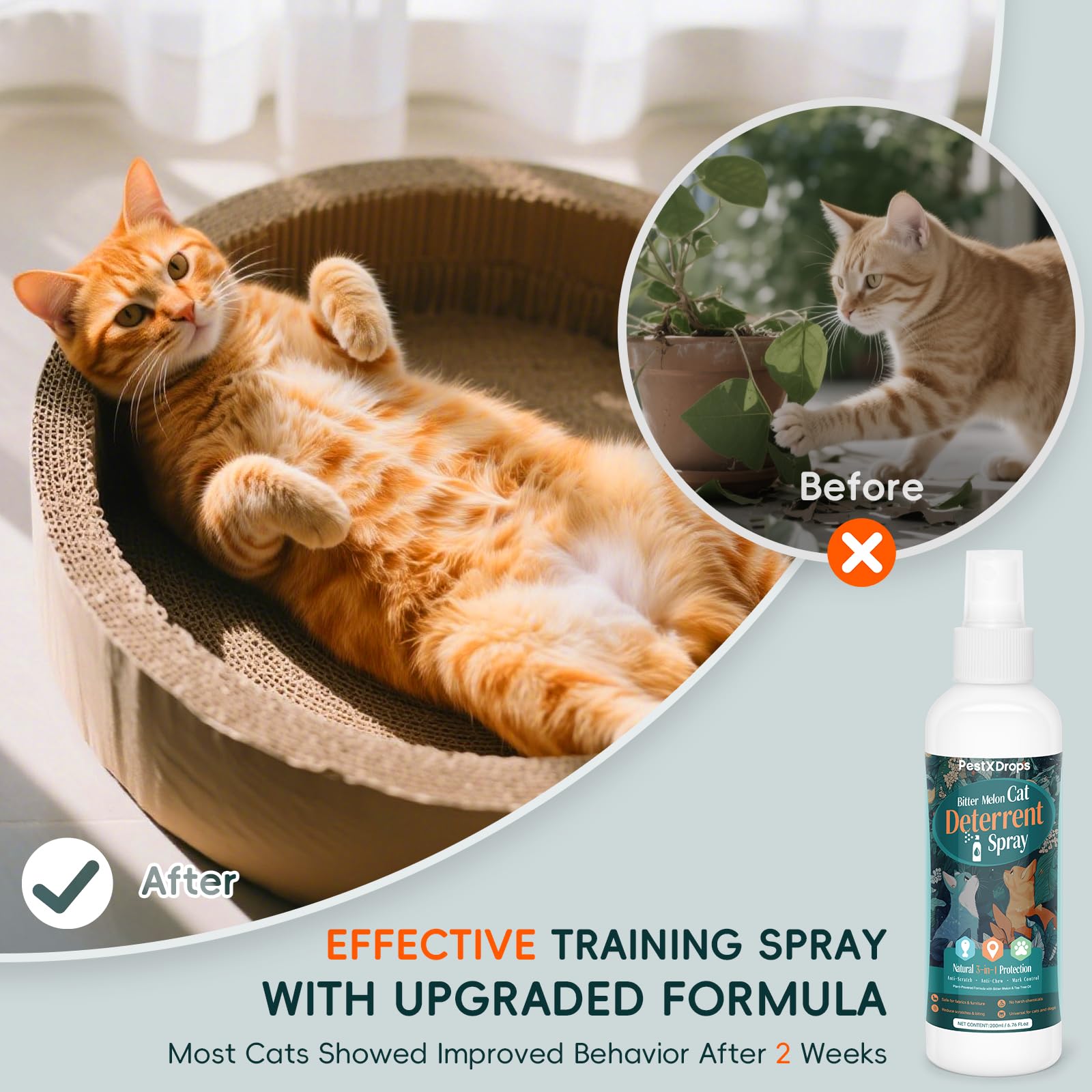 PestXDrops bitter melon extract profile supports long-lasting indoor deterrence.