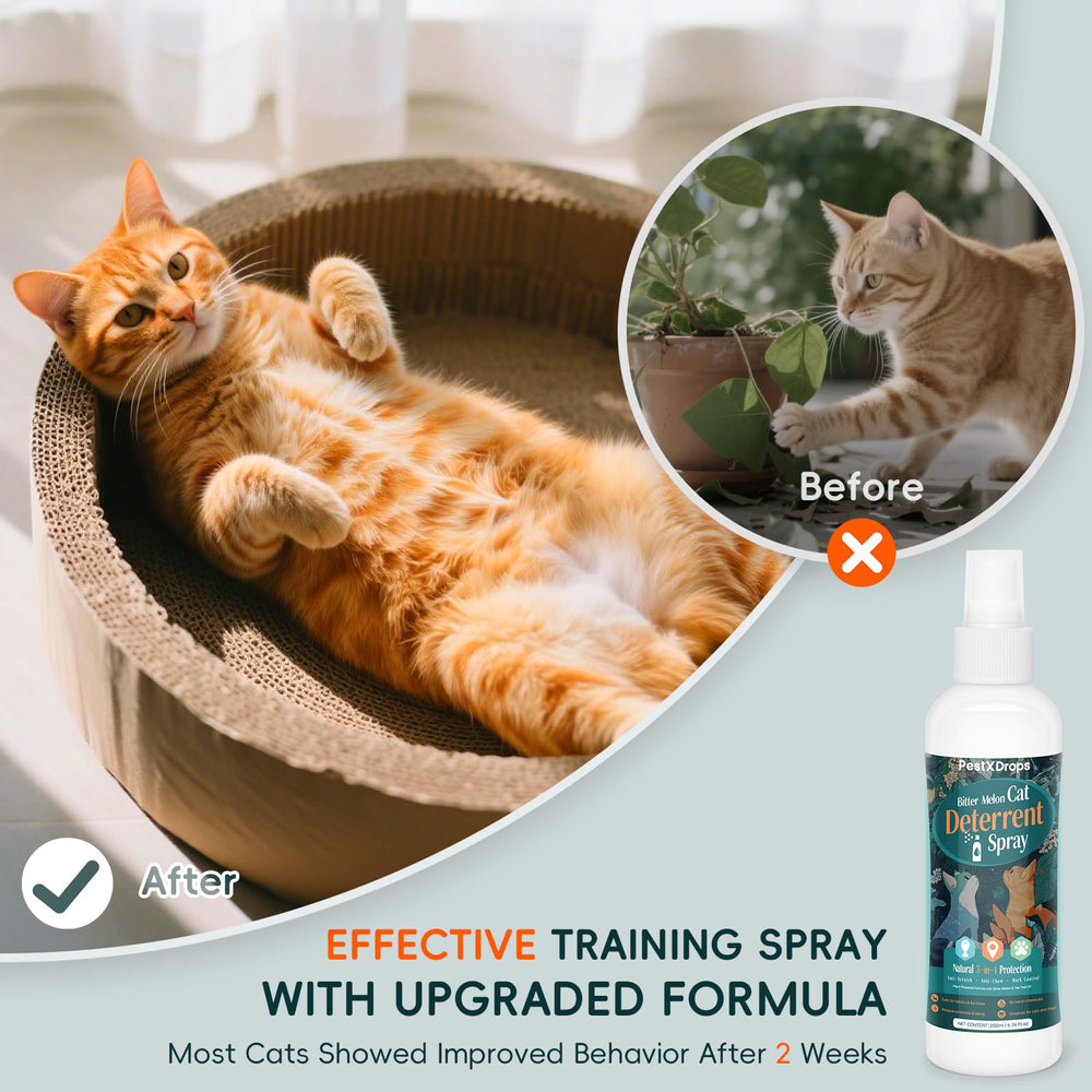 PestXDrops bitter melon extract profile supports long-lasting indoor deterrence.