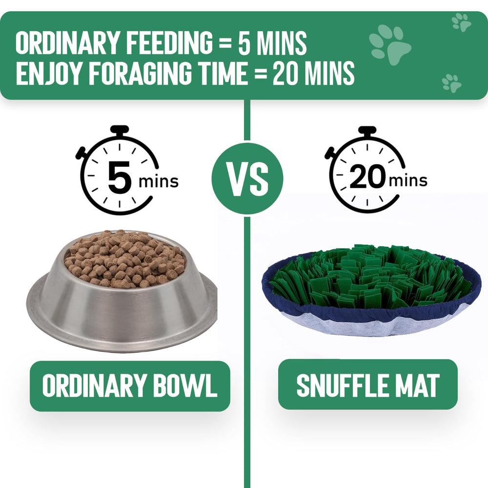 PET ARENA lifetime replacement demonstrates commitment to long-term canine enrichment