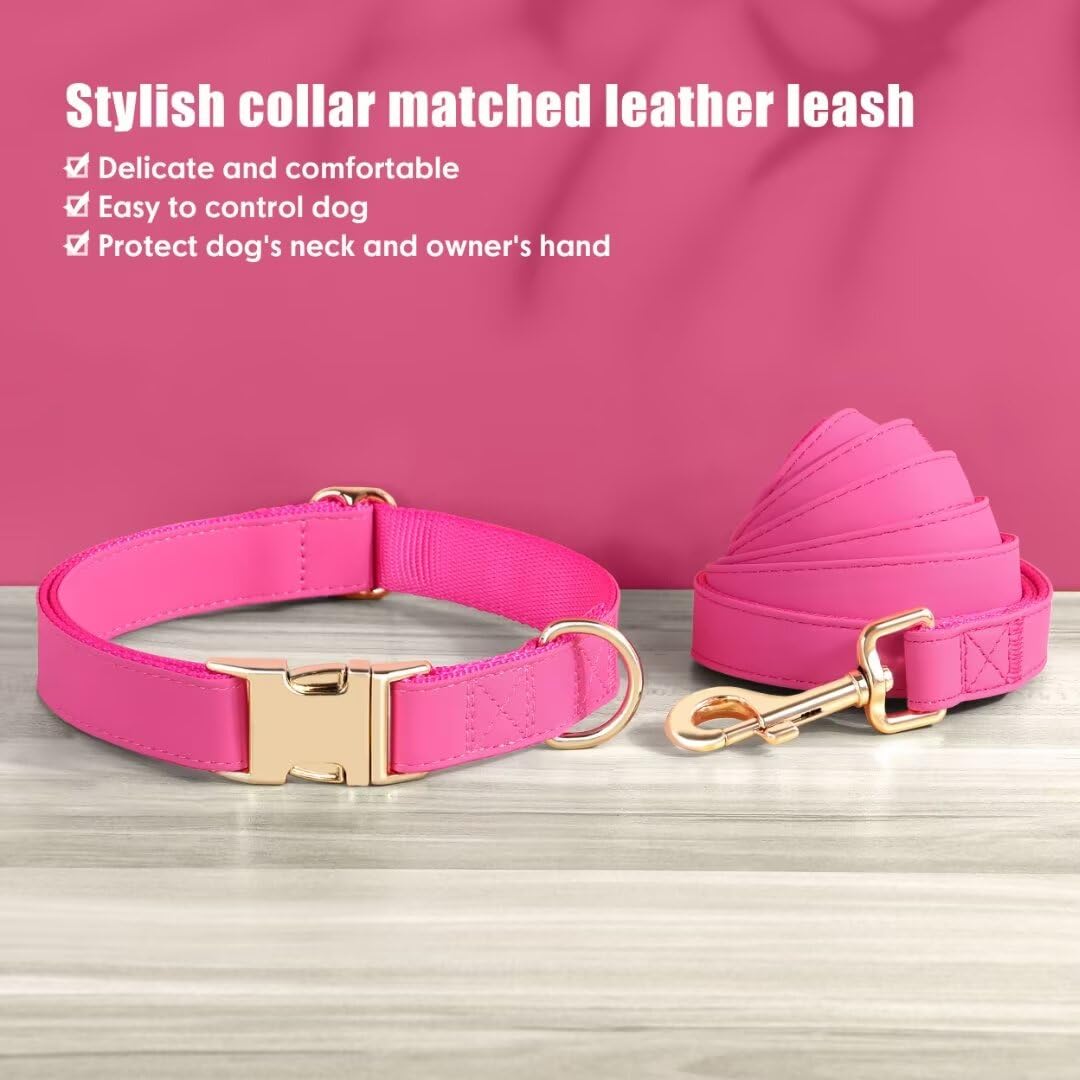 PET ARTIST 5ft leash in hot pink with clip closure for easy handling on walks.