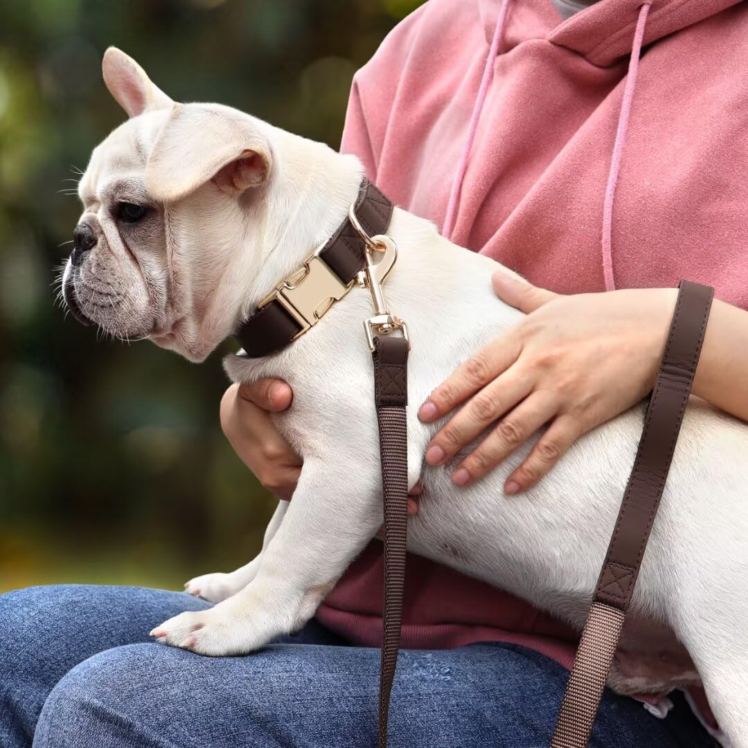 Pet Artist 5ft PU Leash closeup demonstrates durable outdoor use.