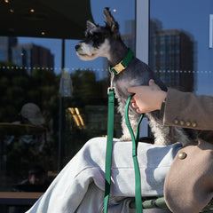 PET ARTIST 5ft-pu-leash for reliable control during walks.