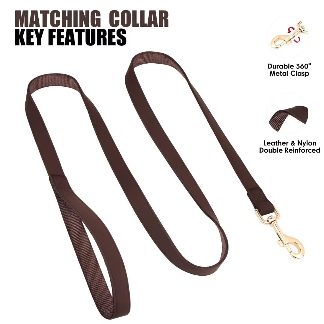 Pet Artist Adjustable Collar 13-19 inch closeup highlights medium-dog fit.