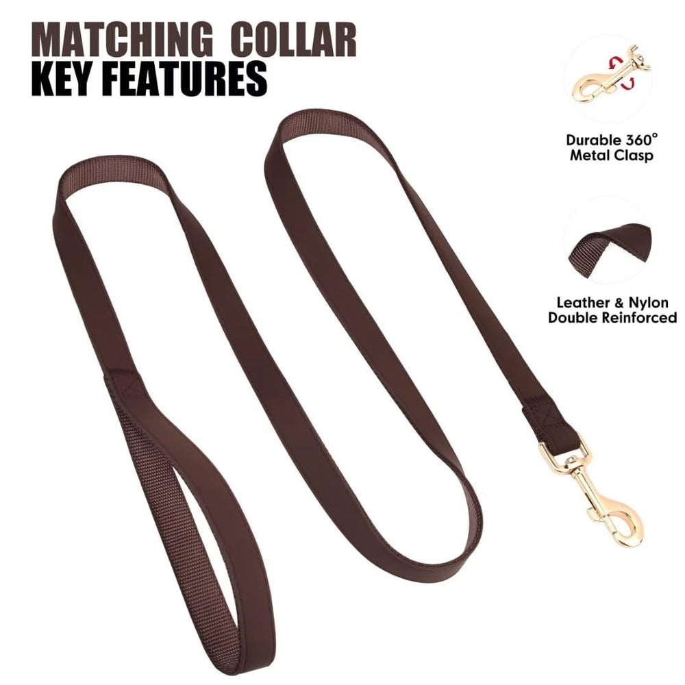 Pet Artist Adjustable Collar 13-19 inch closeup highlights medium-dog fit.