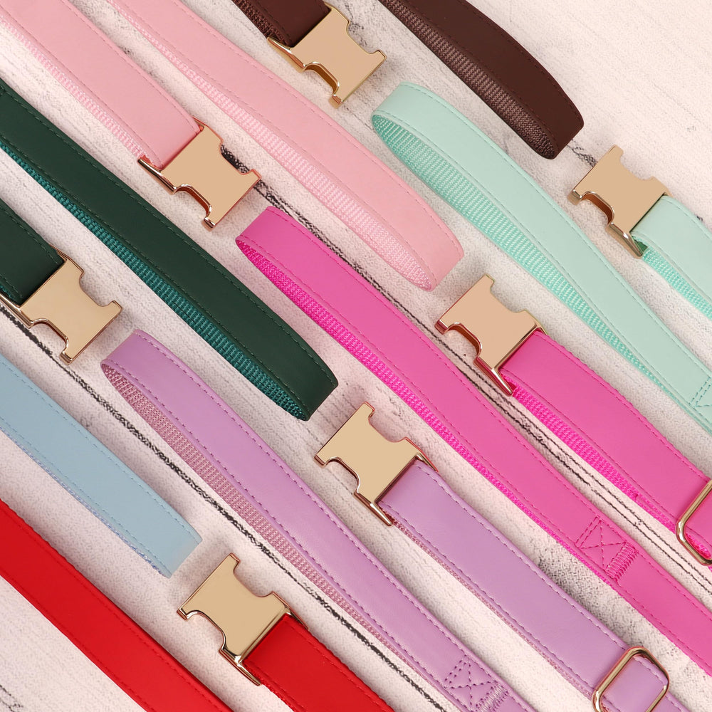 PET ARTIST adjustable-small-dog-collar fits 9-14 inches securely.