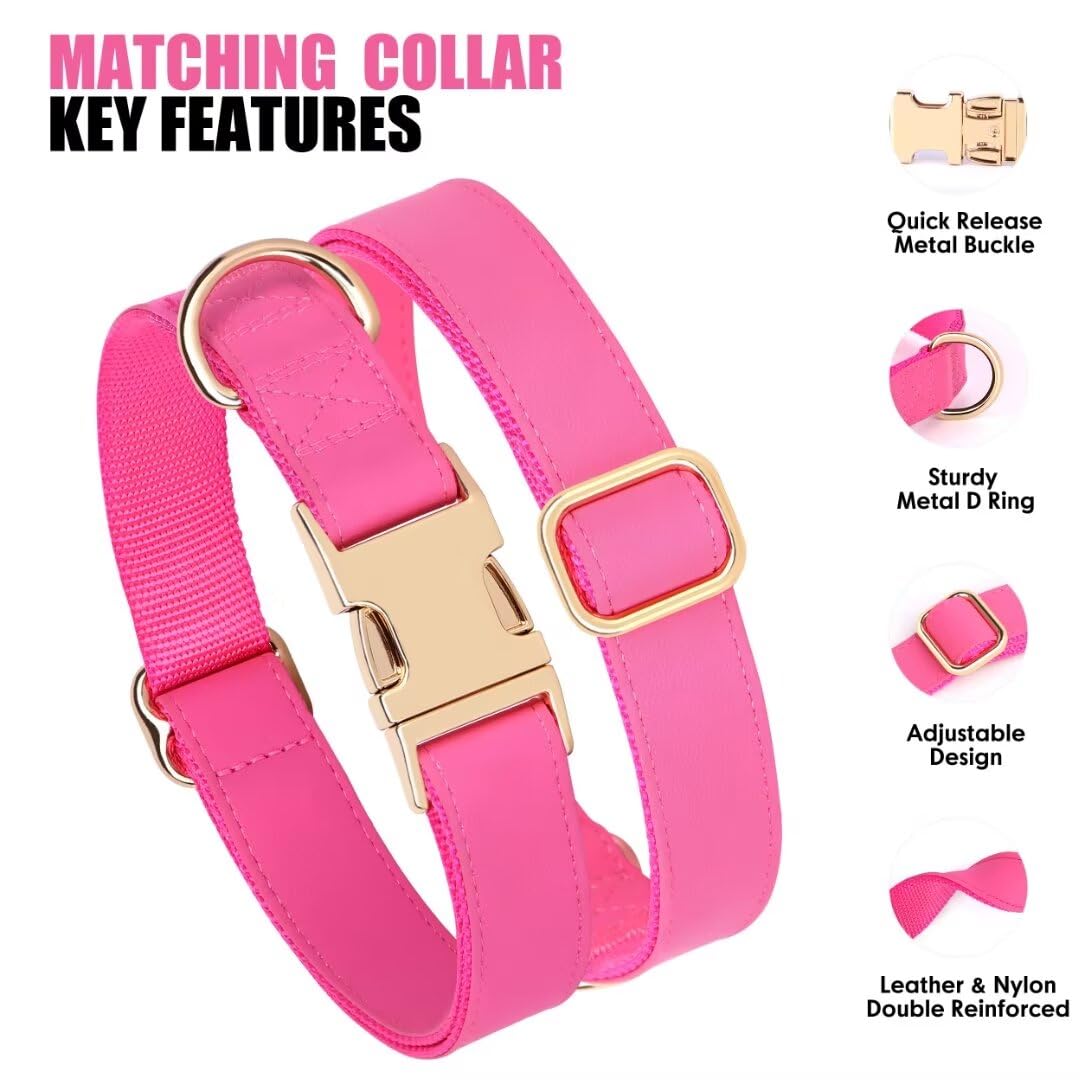 Pet Artist durable D-ring detail showing stable leash attachment.