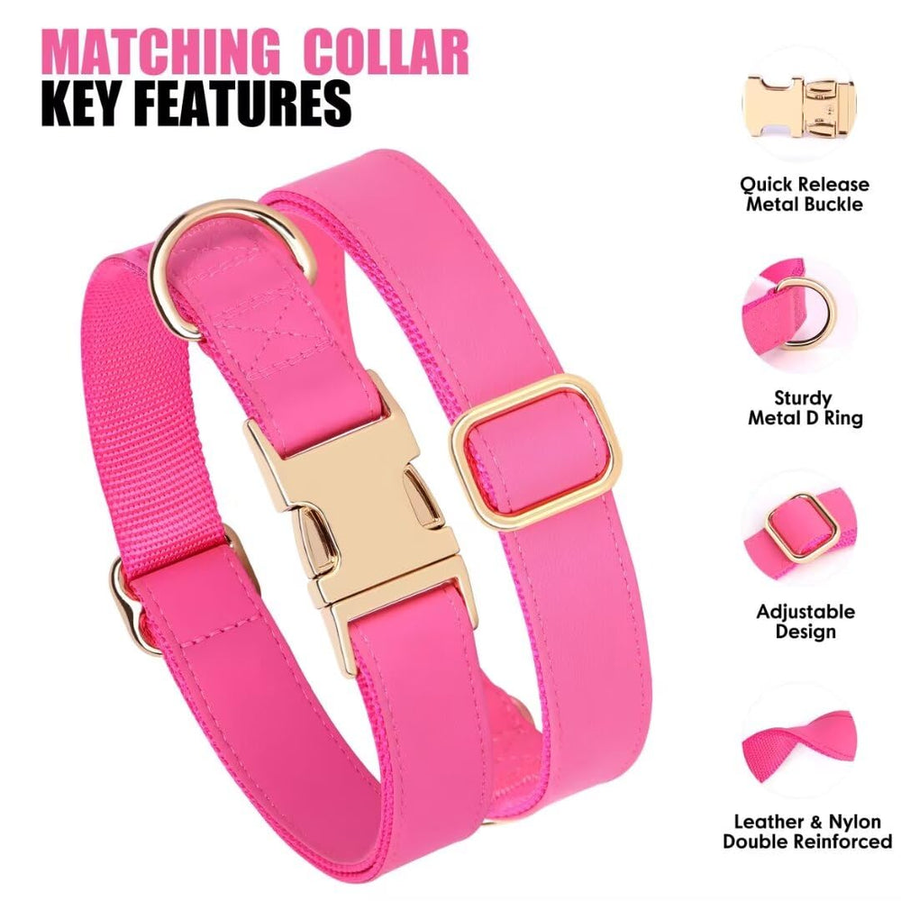 Pet Artist durable D-ring detail showing stable leash attachment.
