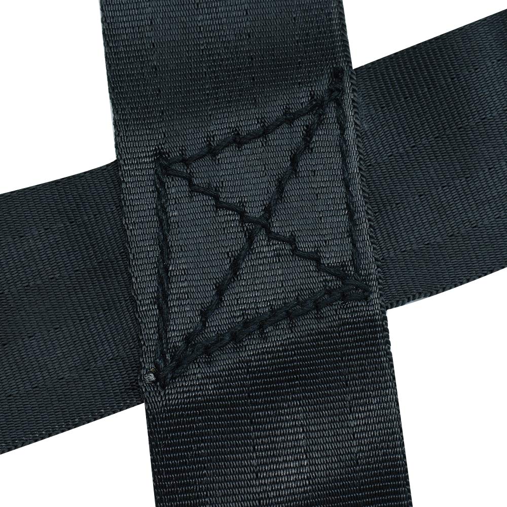 PET ARTIST large dog training harness supports muscle development during workouts
