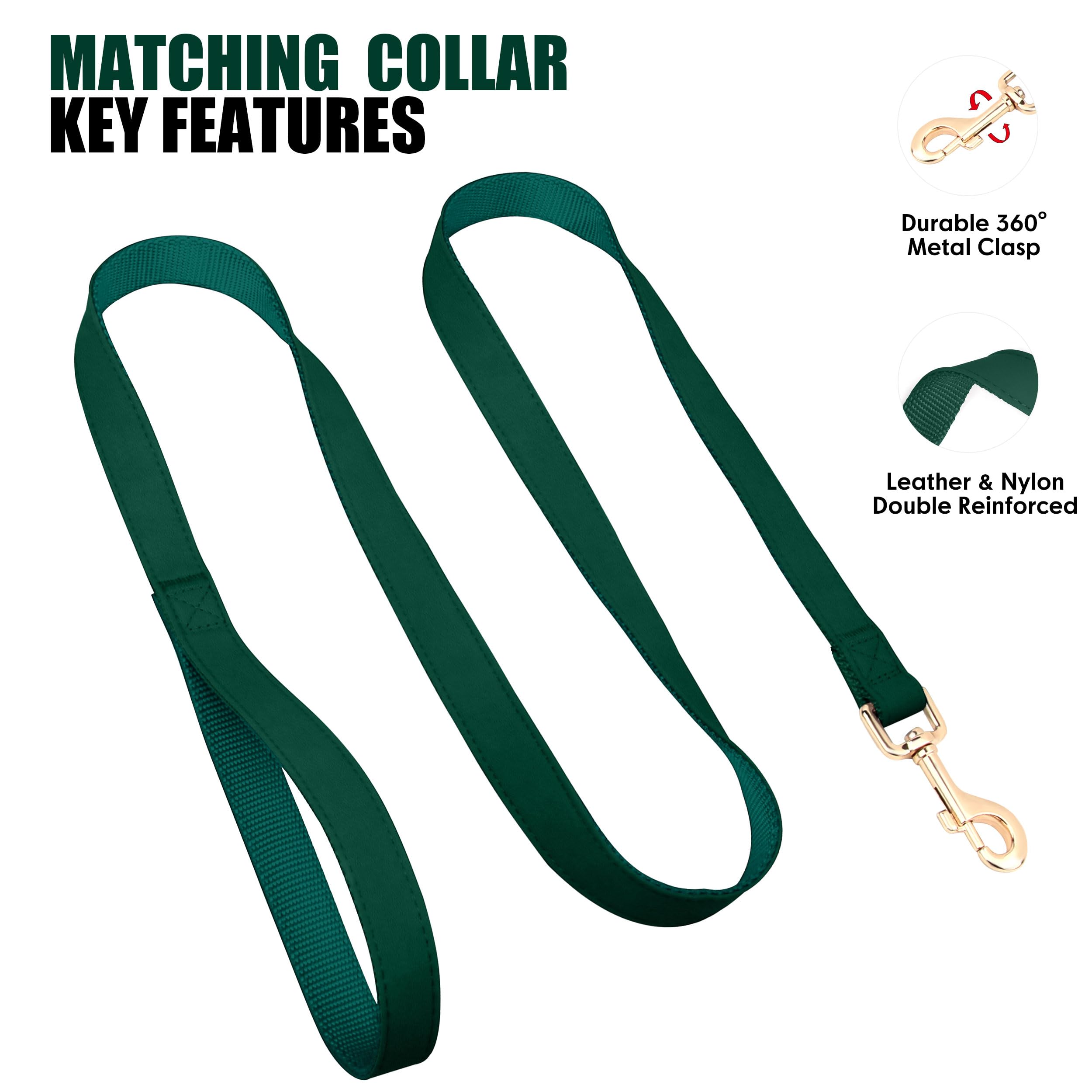 PET ARTIST matching-collar-and-leash-set shows coordinated pet style.