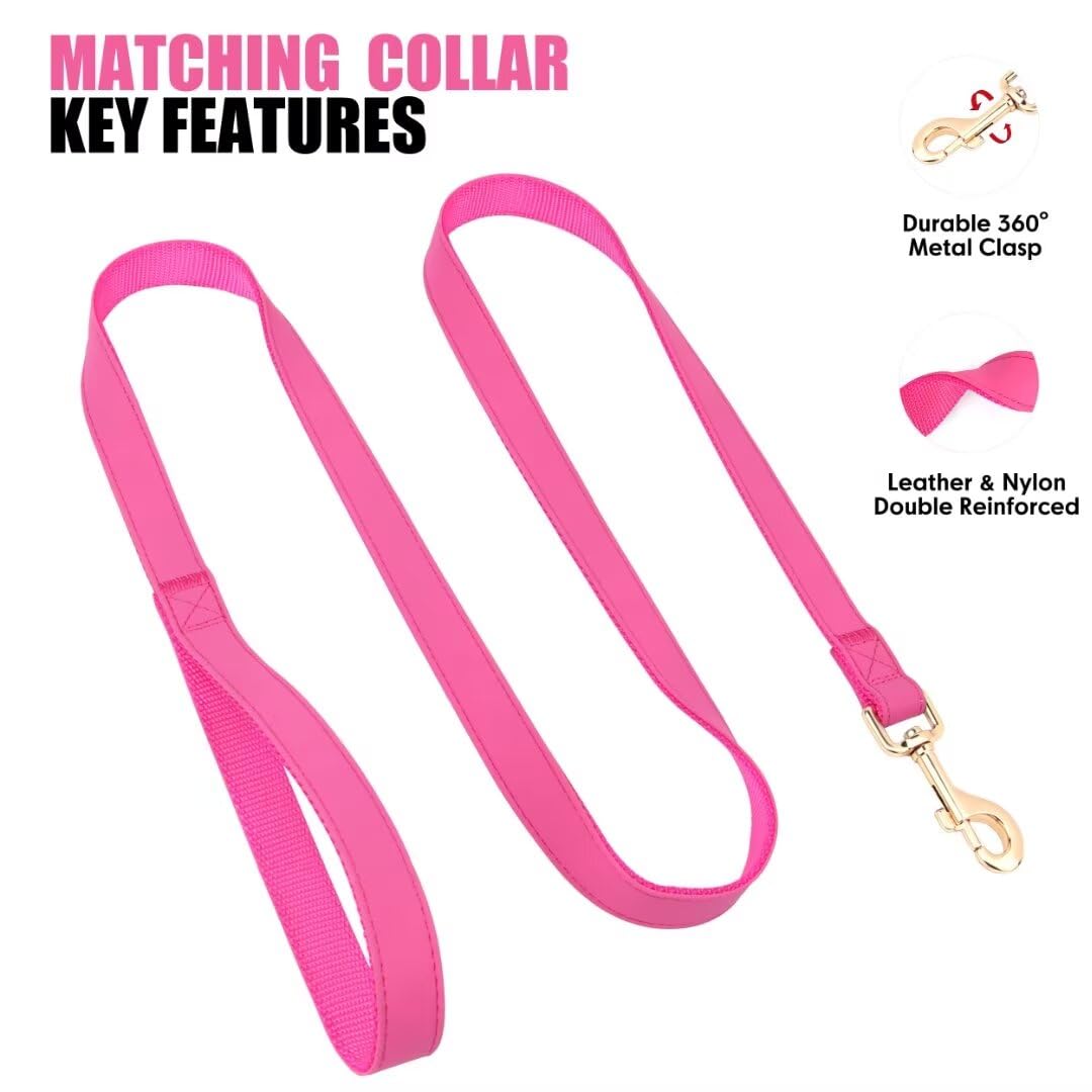 Pet Artist matching collar and leash set in hot pink for coordinated style.