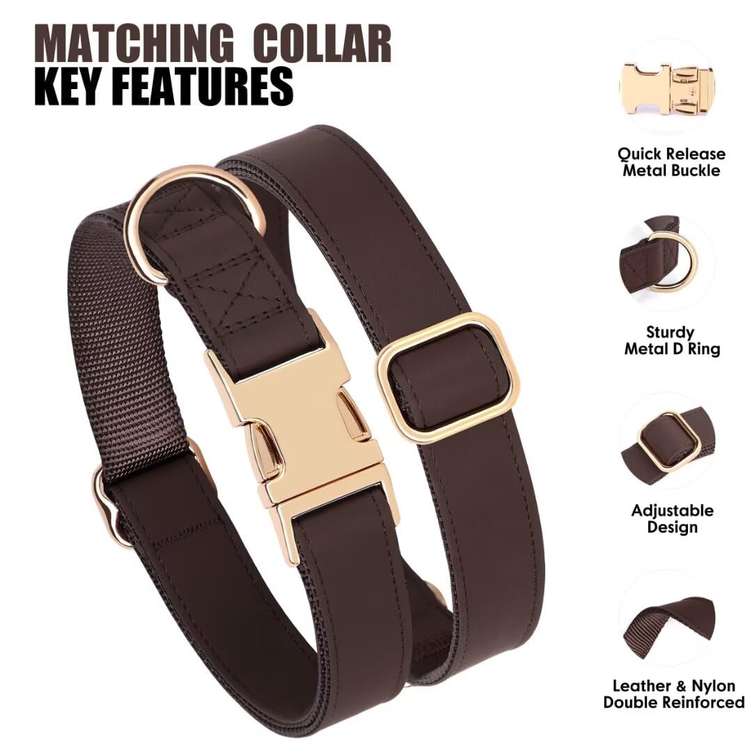 Pet Artist Matching Collar and Leash Set display coordinated style for events.