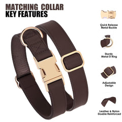 Pet Artist Matching Collar and Leash Set display coordinated style for events.