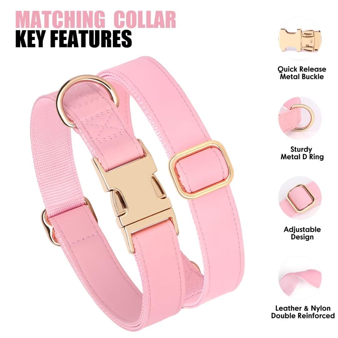 PET ARTIST matching dog collar and leash set shown during park walk