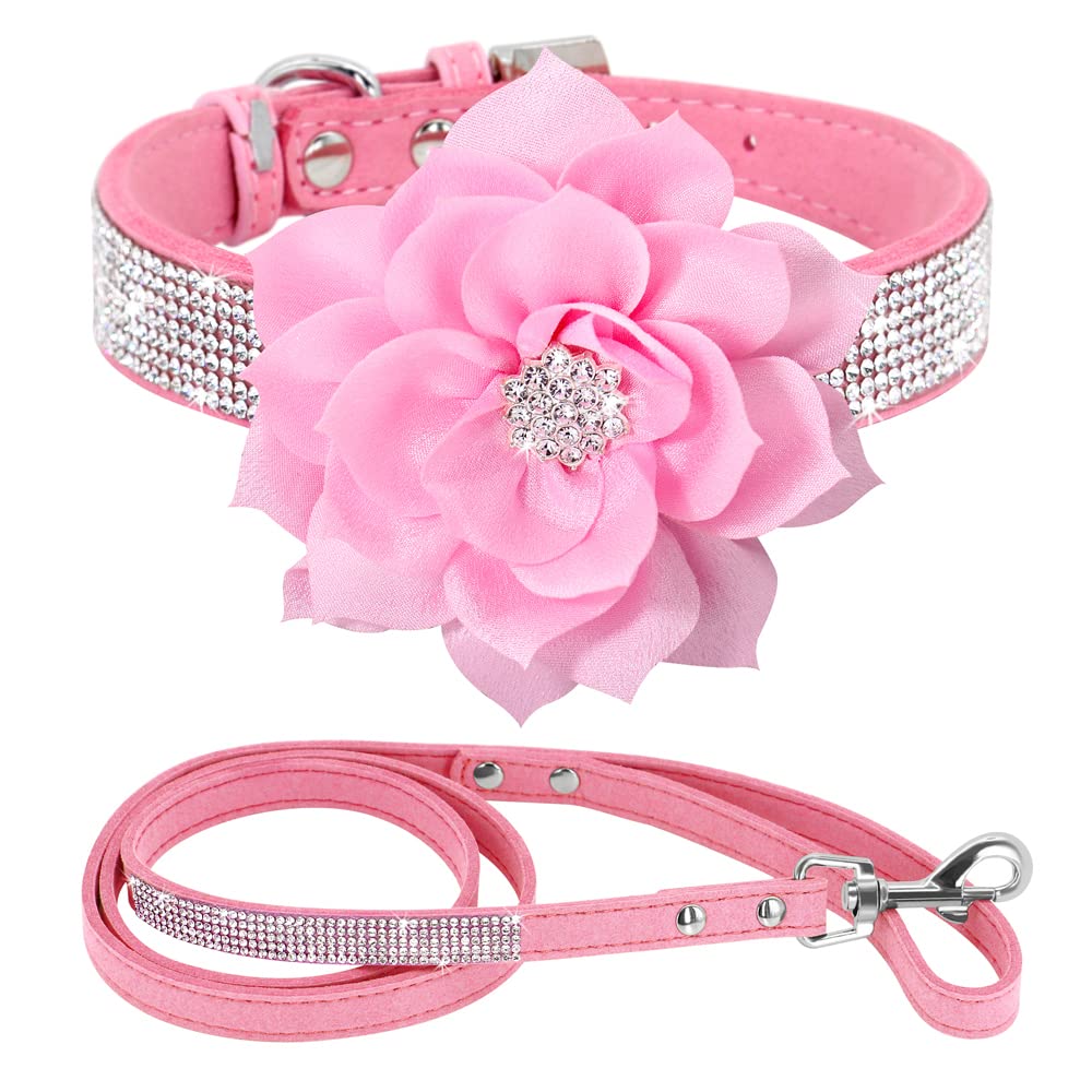 PET ARTIST collar worn at a wedding or party setting