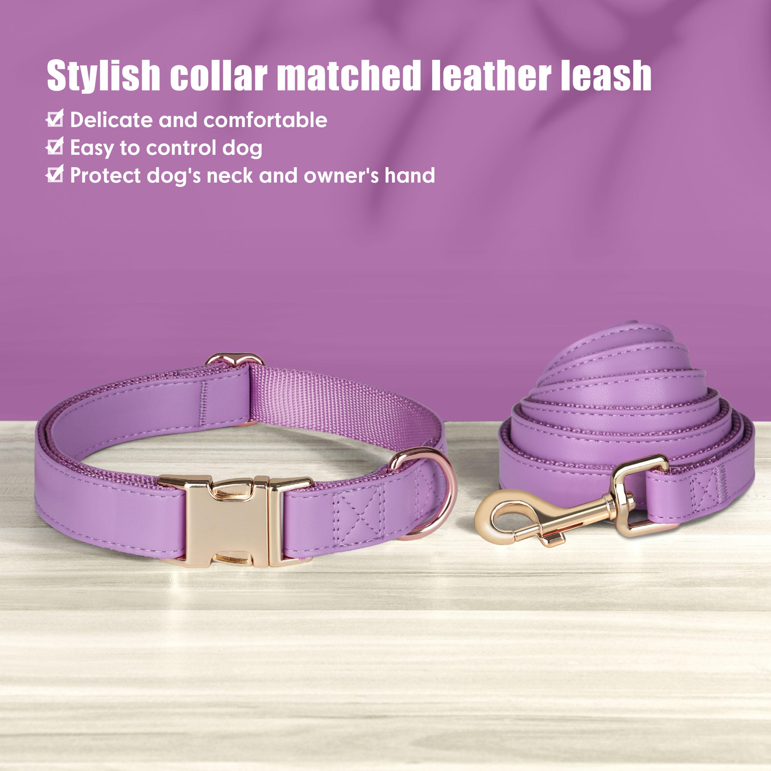 PET ARTIST quick-release metal buckle ensures easy removal and secure closure.