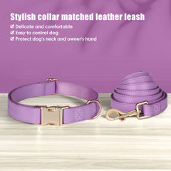 PET ARTIST quick-release metal buckle ensures easy removal and secure closure.