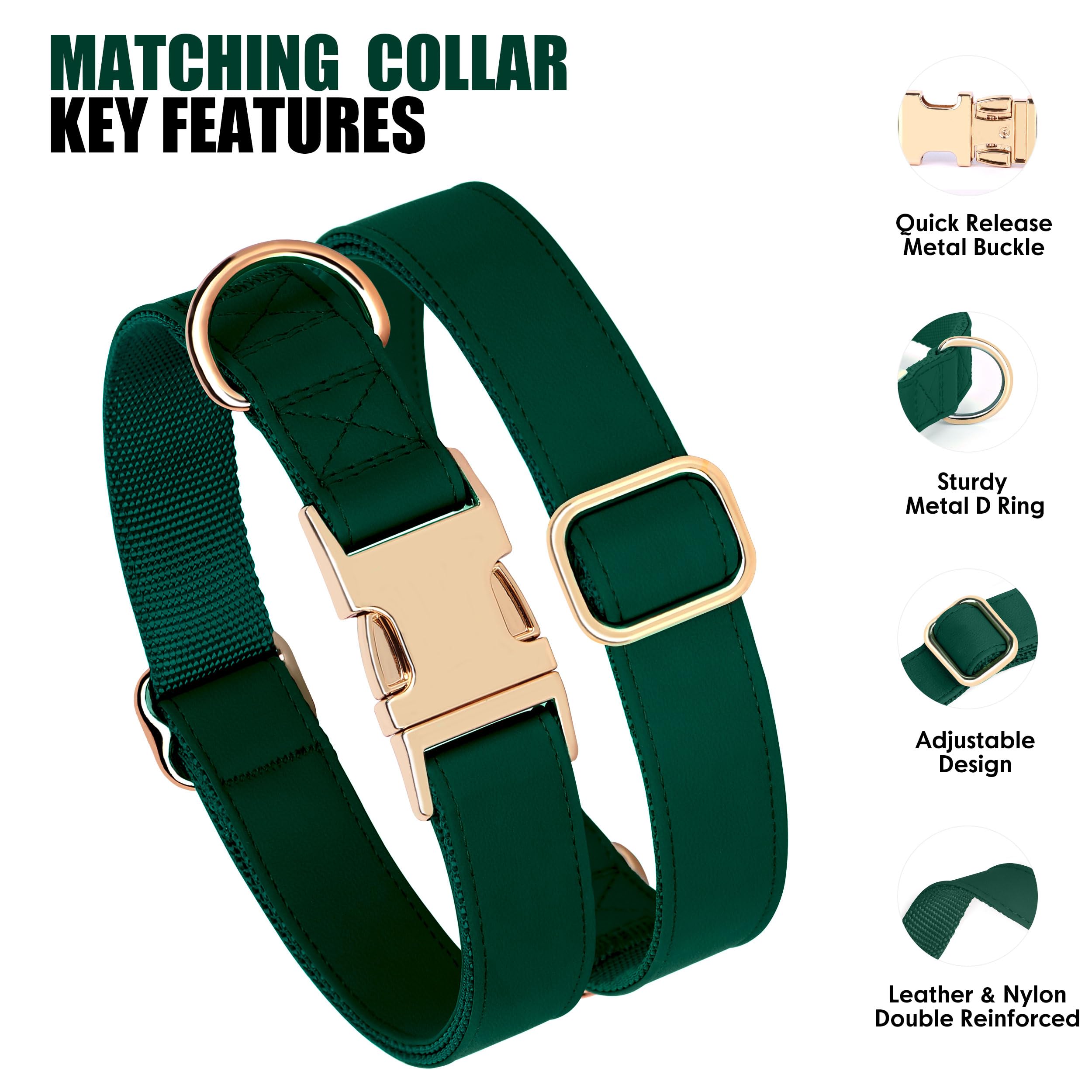 PET ARTIST quick-release-buckle-secures-fit for easy on/off.