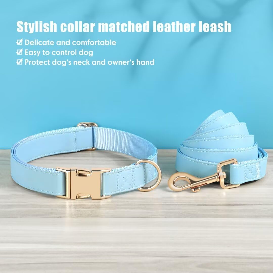 PET ARTIST quick-release metal buckle on collar for easy removal