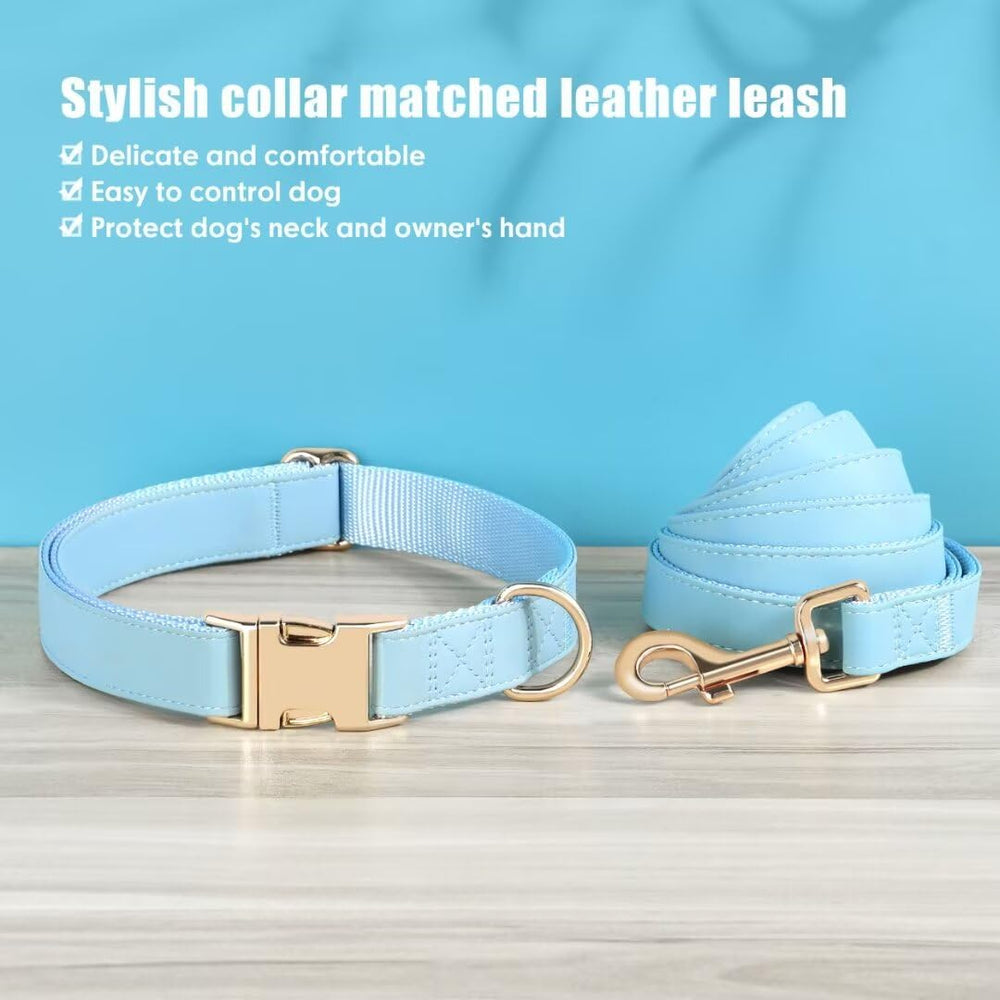 PET ARTIST quick-release metal buckle on collar for easy removal