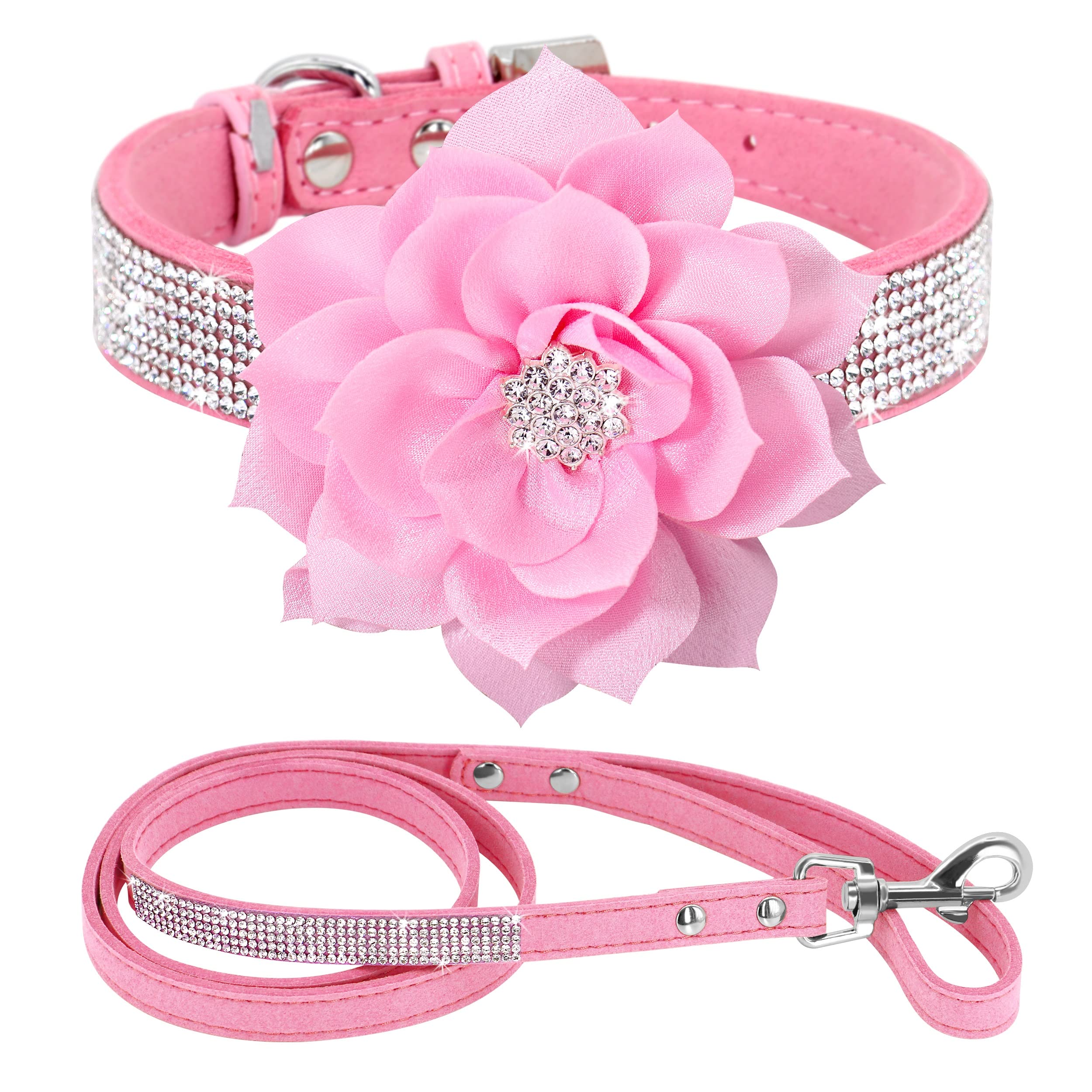 PET ARTIST rhinestone dog collar sparkles during a sunny walk