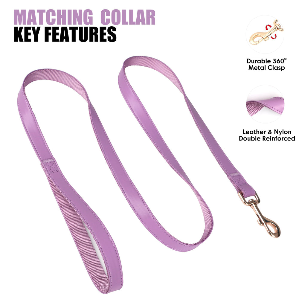 PET ARTIST small-dog adjustable collar fits 9-14 inches for many breeds.