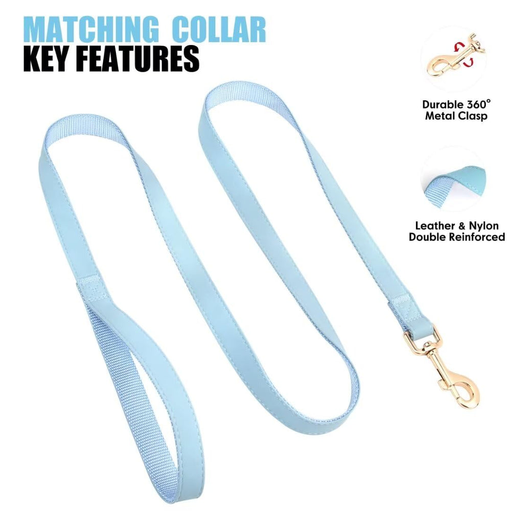 PET ARTIST small dog collar fits 9-14 inch necks blue