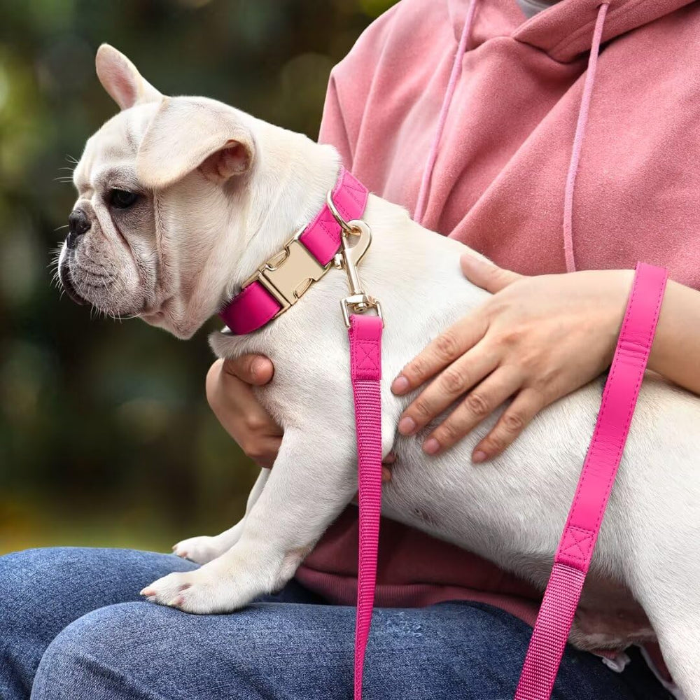 PET ARTIST soft PU leather collar for large dogs emphasizes comfort and lasting wear.