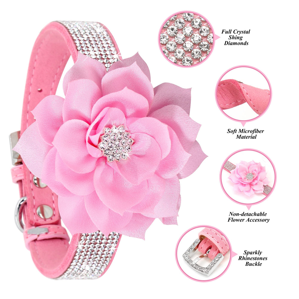 PET ARTIST soft suede leather collar resting on furry neck