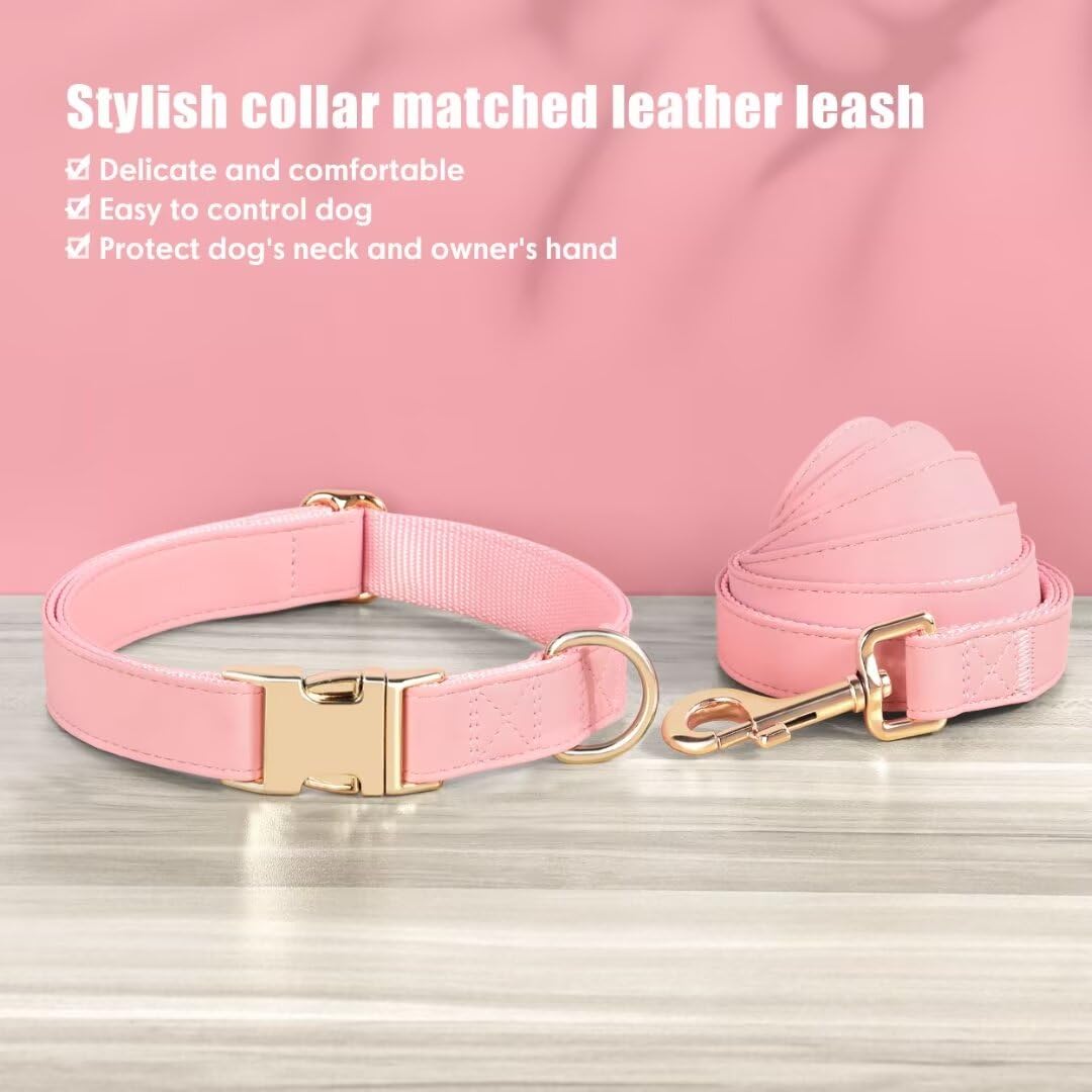 PET ARTIST reinforced stitching near D-ring supports secure leash attachment