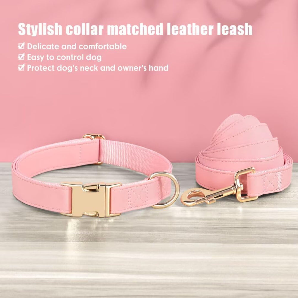 PET ARTIST reinforced stitching near D-ring supports secure leash attachment