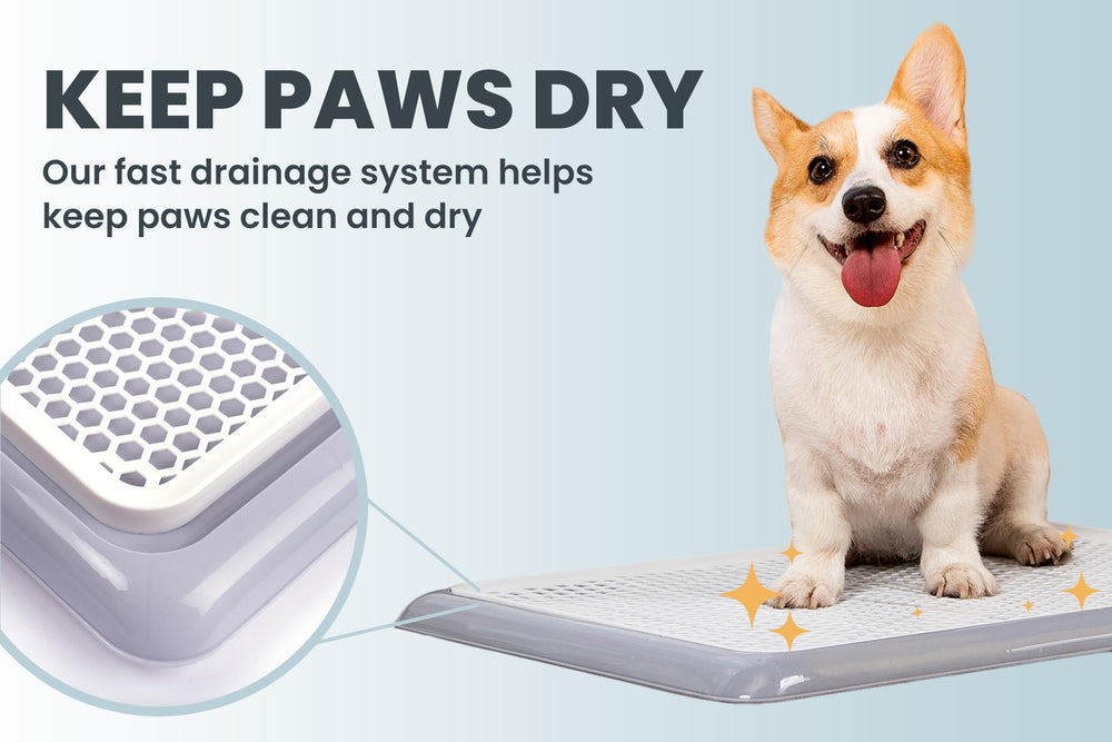 PET AWESOME color-variations option matches decor while training