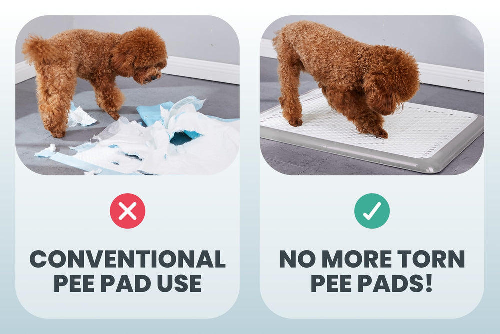 PET AWESOME tray demonstrates indoor-outdoor versatility for flexible setups