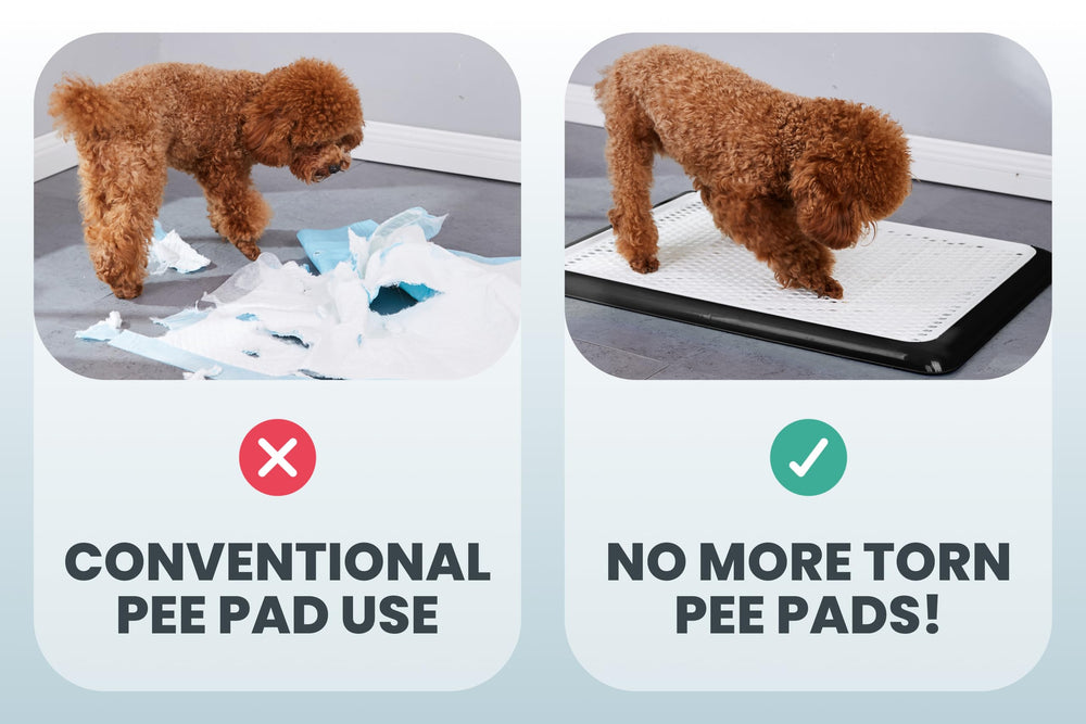 Pet Awesome potty tray indoor outdoor use for versatile spaces.