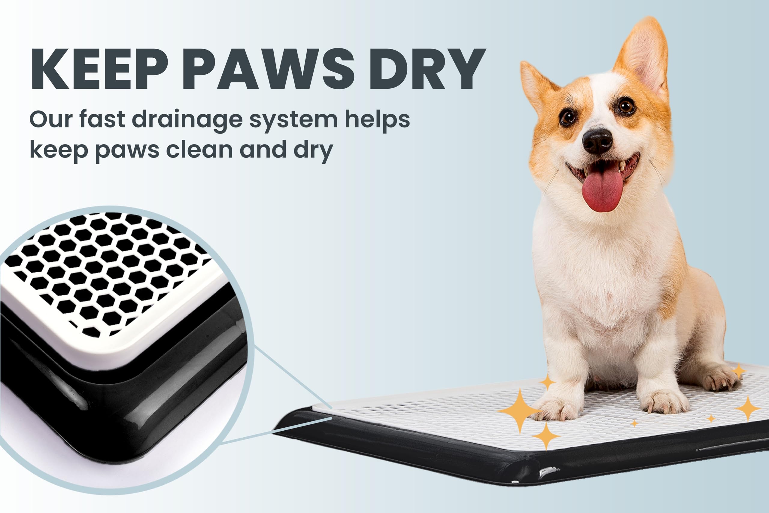 Pet Awesome potty tray training tips promote consistency and rewards.