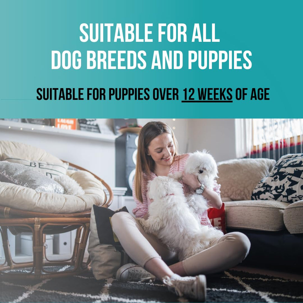 PET CARE Sciences tearless puppy shampoo deodorizes for a fresh feel after bath time.