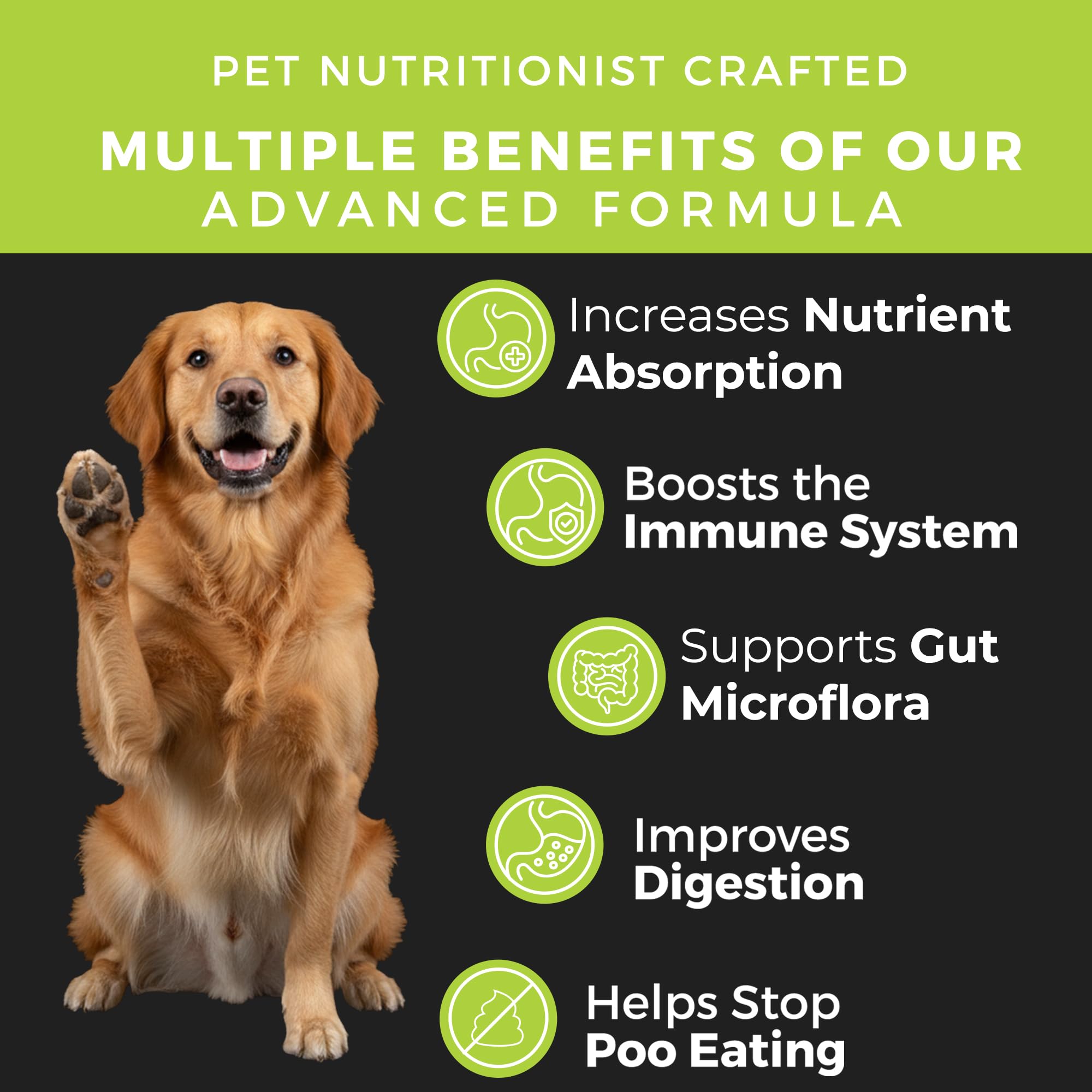 Pet Chef No Poo Chews promote fresh breath as part of daily routine