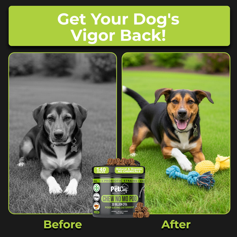 Pet Chef No Poo Chews deter stool-eating with probiotic-enzyme blend