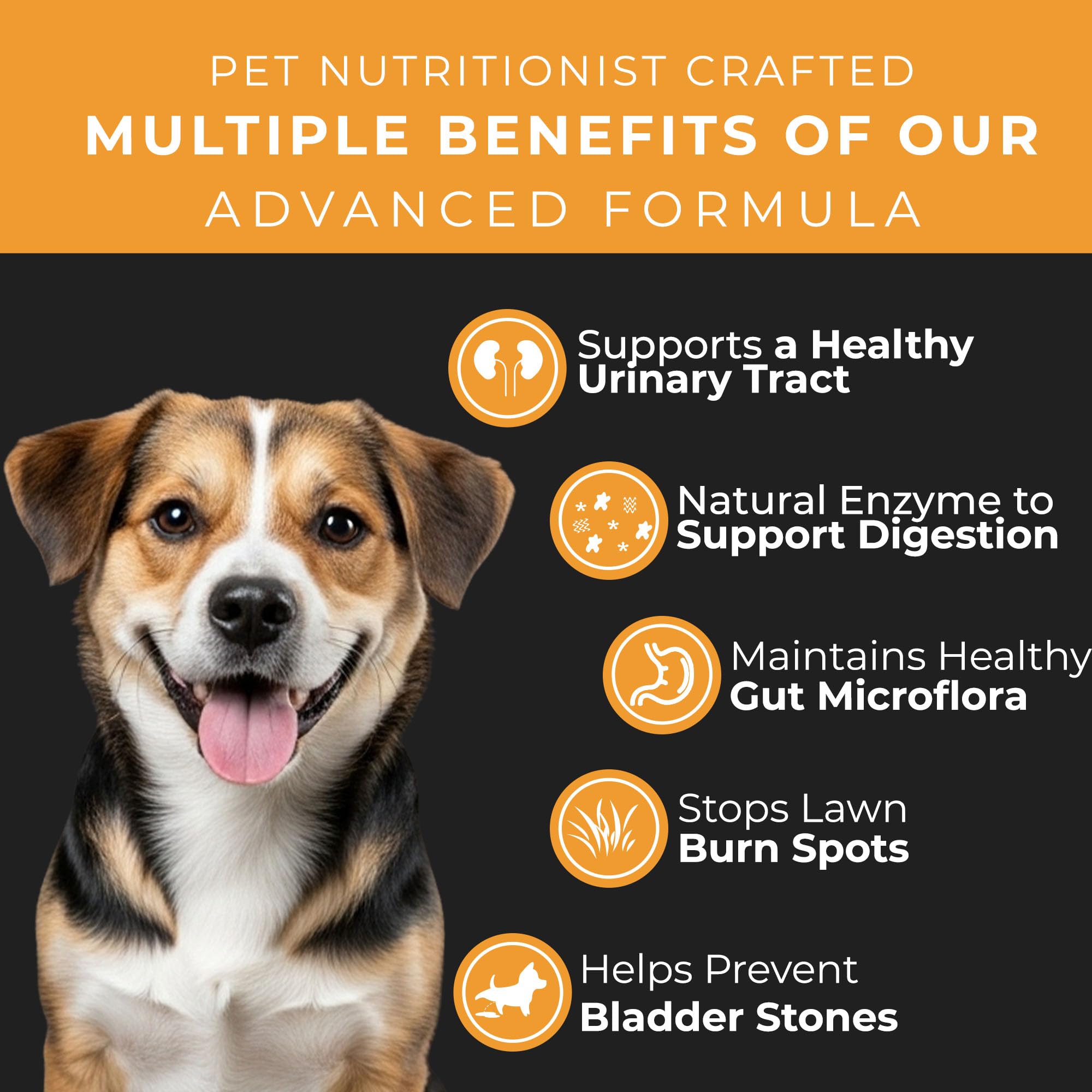 Pet Chef Non-GMO Grain-Free Chews image for clean ingredients.