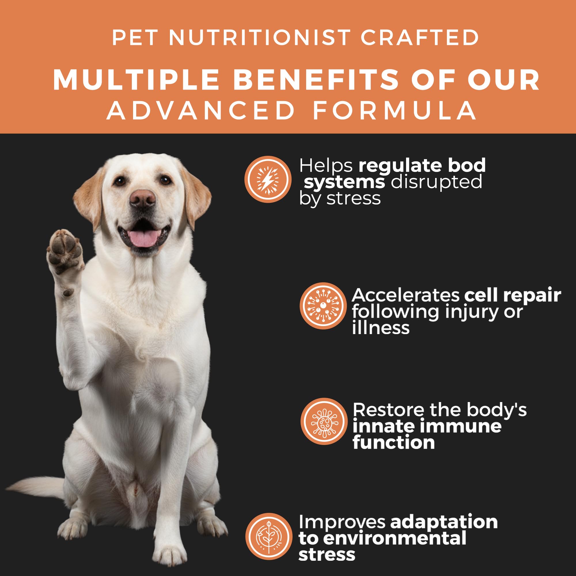 Pet Chef Nutrition cordyceps-mushroom for dogs supports vitality