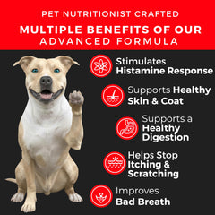 Pet Chef Nutrition allergy chews label indicates omega-3 for coat health