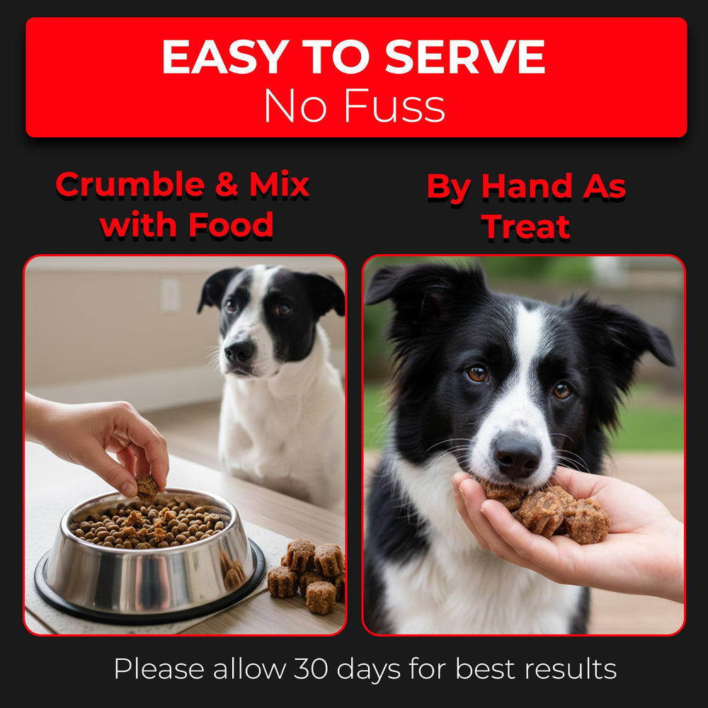Pet Chef Nutrition probiotic blend image suggests gut-friendly daily immune support