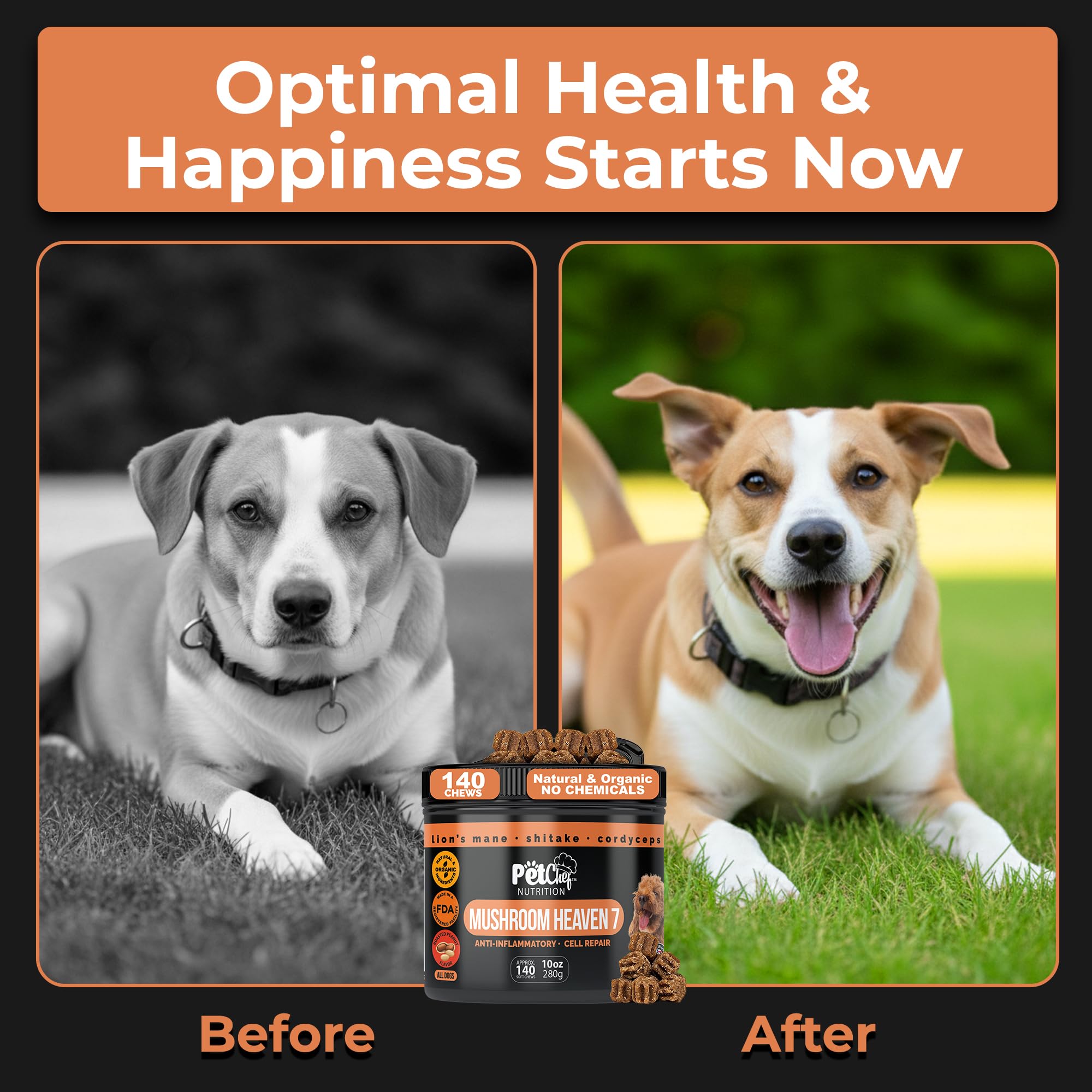 Pet Chef Nutrition lions-mane-mushroom for dogs aids cognitive clarity