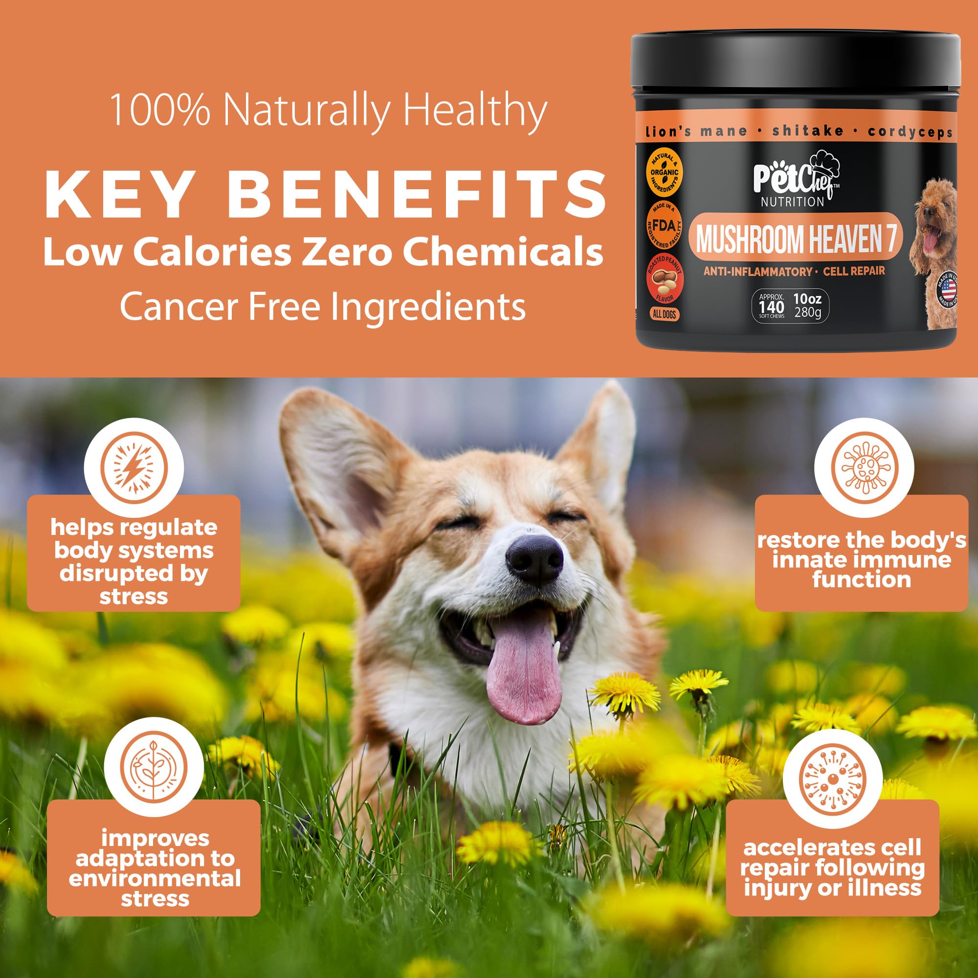 Pet Chef Nutrition shiitake mushroom for dogs supports digestion
