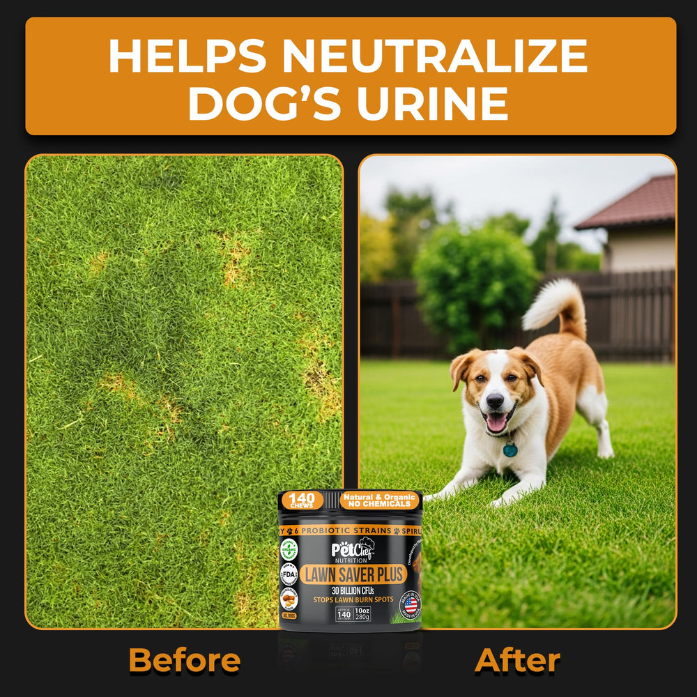 Pet Chef Nutrition spirulina Kona berry blend highlights immune-supporting ingredients.