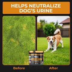 Pet Chef Nutrition spirulina Kona berry blend highlights immune-supporting ingredients.